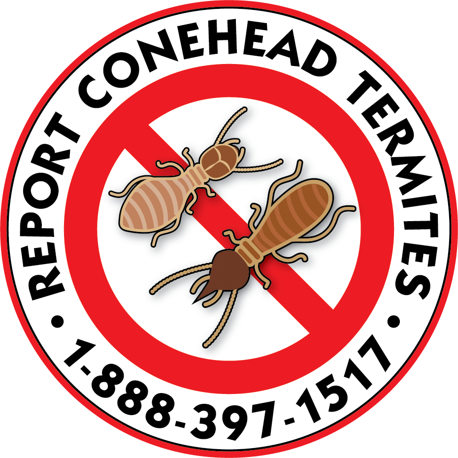 Conehead Termite Southern IPM Center